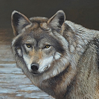 Amber Eyes - Oil on Canvas - 18 x 36 - SOLD<br />