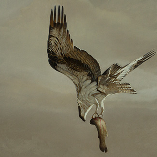 Kill - Oil on Canvas - 24 x 24 - $40,000<br />