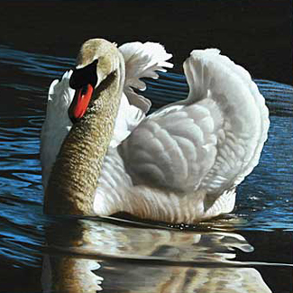 On Howards Creek - Oil on Canvas - 30 x 40 - SOLD<br />