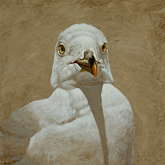Portrait of Gull - Mixed Media on Canvas - 20 x 16 - $22,500<br />