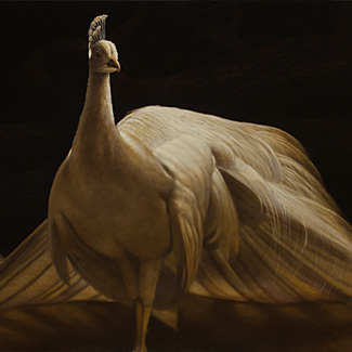 Prince of Days - Oil on Canvas - 36 x 54 - $112,500<br />