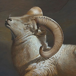 Sun Bather - Oil on Canvas - 30 x 40 - SOLD<br />