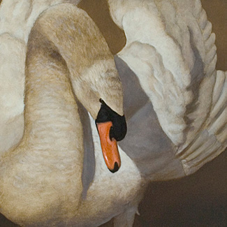 Swan Song - Oil on Canvas - 16 x 20 - $30,000<br />