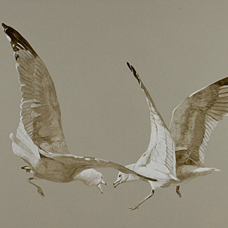 Gull Fight - Archival Pigment Print on Paper - 22.25 x 30 - $1150<br />