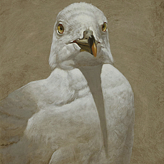 Portrait of Gull - Mixed Media on Canvas - 20 x 16 - $22,500 