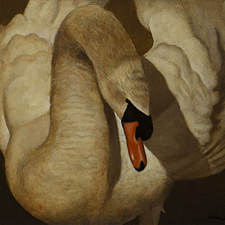 Swan Song - Oil on Canvas - 16 x 20 - $30,000 