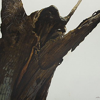 Myakka Tree II - Mixed Water Media on Paper - 22 x 30 - $8,500<br />