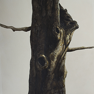 Myakka Tree III - Mixed Water Media on Paper - 30 x 22 - $8,500<br />